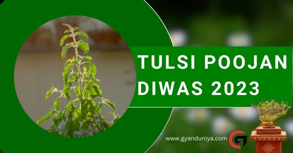 Tulsi Poojan Diwas 2023- क्रिसमस पर तुलसी पूजन दिवस क्यों मानते हैं लोग